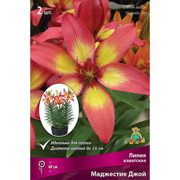 ������ ������ ����� ��������� ��������� ��������� ���� (2 ��.)   ����