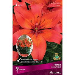 ������ ������ ����� ��������� ��������� ������� (2 ��.)   ����