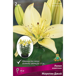 ������ ������ ����� ��������� ��������� ������� ���� (2 ��.)   ����