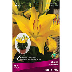 ������ ������ ����� ��������� ��������� ����� ���� (2 ��.)   ����