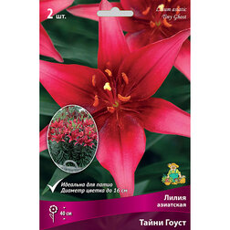 ������ ������ ����� ��������� ��������� ����� ����� (2 ��.)   ����