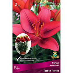 ������ ������ ����� ��������� ��������� ����� ����� (2 ��.)   ����