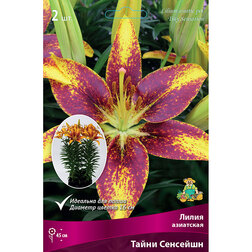 ������ ������ ����� ��������� ��������� ����� �������� (2 ��.)   ����