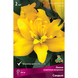 ������ ������ ����� ��������� �������� ������ (2 ��.)   ����