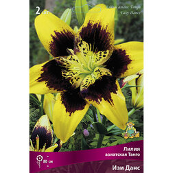 ������ ������ ����� ��������� ����� ��� ���� (2 ��.)   ����