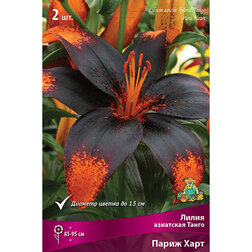 ������ ������ ����� ��������� ����� ����� ���� (2 ��.)   ����