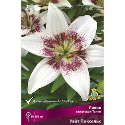 ������ ������ ����� ��������� ����� ���� �������c (2 ��.)   ����