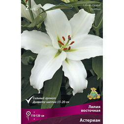 ������ ������ ����� ��������� �������� (2 ��.)   ����