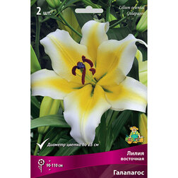 ������ ������ ����� ��������� ��������� (2 ��.)   ����