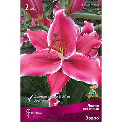 ������ ������ ����� ��������� ����� (2 ��.)   ����