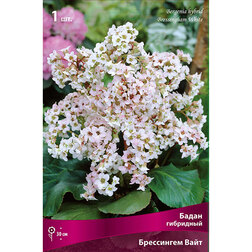 ������ ������ ����� ��������� ���������� ����   ����