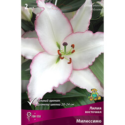 ������ ������ ����� ��������� ��������� (2 ��.)   ����