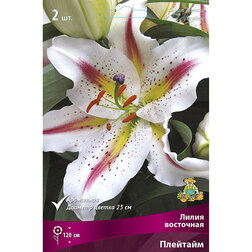 ������ ������ ����� ��������� �������� (2 ��.)   ����