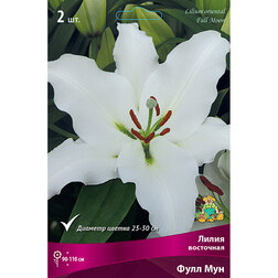 ������ ������ ����� ��������� ���� ��� (2 ��.)   ����