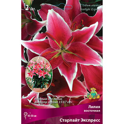 ������ ������ ����� ��������� ��������� �������� �������� (2 ��.)   ����