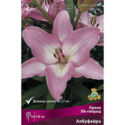 ������ ������ ����� ��-������ ��������� (2 ��.)   ����