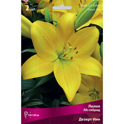 ������ ������ ����� ��-������ ������ ��� (2 ��.)   ����