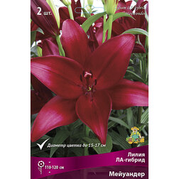 ������ ������ ����� ��-������ ��������� (2 ��.)   ����