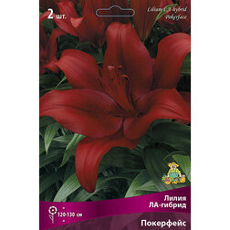 ������ ������ ����� ��-������ ��������� (2 ��.)   ����