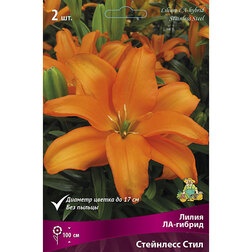 ������ ������ ����� ��-������ ��������� ���� (2 ��.)   ����