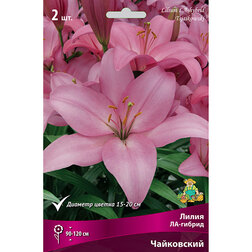 ������ ������ ����� ��-������ ���������� (2 ��.)   ����