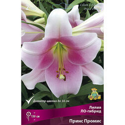 ������ ������ ����� ��-������ ����� ������ (2 ��.)   ����