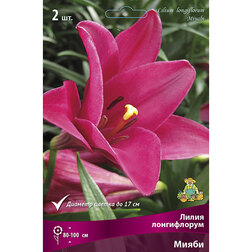 ������ ������ ����� ����������� ����� (2 ��.)   ����