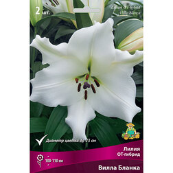 ������ ������ ����� ��-������ ����� ������ (2 ��.)   ����