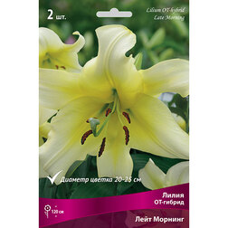 ������ ������ ����� ��-������ ���� ������� (2 ��.)   ����