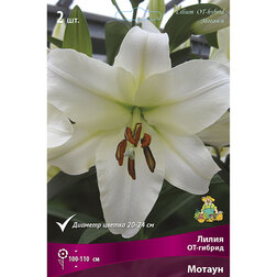 ������ ������ ����� ��-������ ������ (2 ��.)   ����