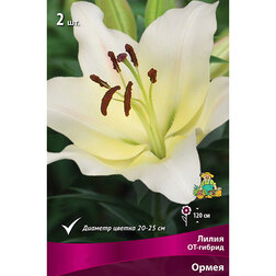 ������ ������ ����� ��-������ ����� (2 ��.)   ����