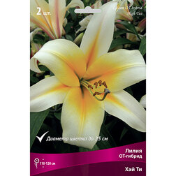 ������ ������ ����� ��-������ ��� �� (2 ��.)   ����