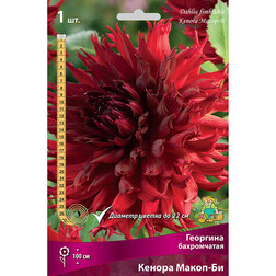 ������ ������ �������� ����������� ������ �����-�� (1 ��.)   ����