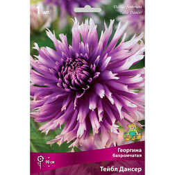 ������ ������ �������� ����������� ����� ������ (1 ��.)   ����