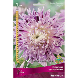 ������ ������ �������� ������������ ������� (1 ��.)   ����