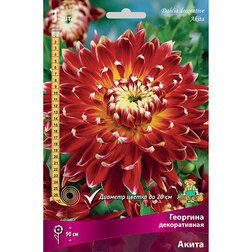 ������ ������ �������� ������������ ����� (1 ��.)   ����