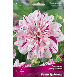 ������ ������ �������� ������������ ����� ������� (1 ��.)   ����