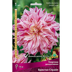 ������ ������ �������� ������������ ������� ������ (1 ��.)   ����