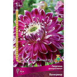 ������ ������ �������� ������������ �������� (1 ��.)   ����