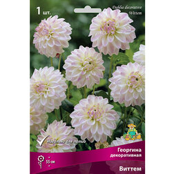 ������ ������ �������� ������������ ������ (1 ��.)   ����