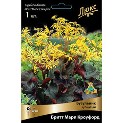 ������ ������ ��������� �������� ����� ���� ��������   ����