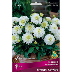 ������ ������ �������� ������������ ������� ��� ��� (1 ��.)   ����