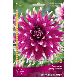 ������ ������ �������� ������������ �������� ����� (1 ��.)   ����