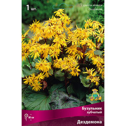 ������ ������ ��������� �������� ���������   ����