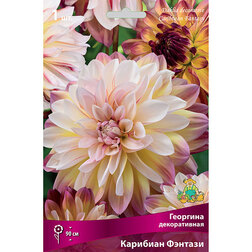 ������ ������ �������� ������������ �������� ������� (1 ��.)   ����