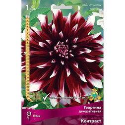 ������ ������ �������� ������������ �������� (1 ��.)   ����