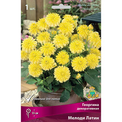 ������ ������ �������� ������������ ������ ����� (1 ��.)   ����