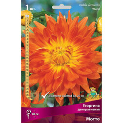 ������ ������ �������� ������������ ����� (1 ��.)   ����