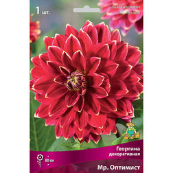 ������ ������ �������� ������������ ��. �������� (1 ��.)   ����