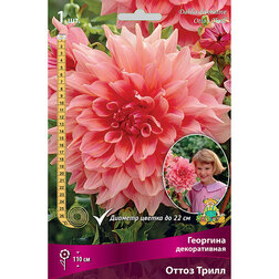 ������ ������ �������� ������������ ����� ����� (1 ��.)   ����